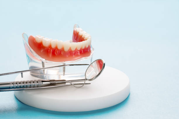 Best Preventive Dentistry  in Bourbon, IN
